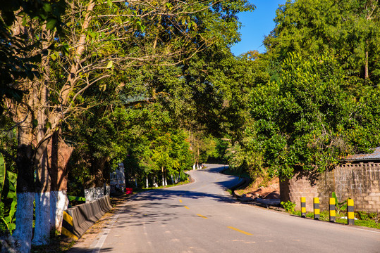 森林公路