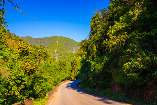 森林公路