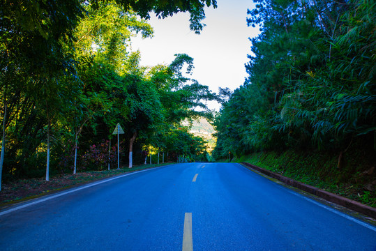 森林公路