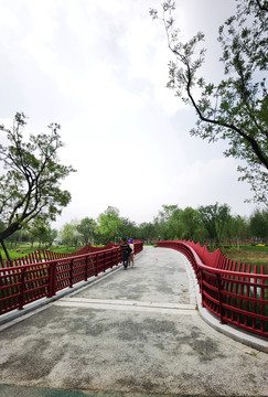 景观桥