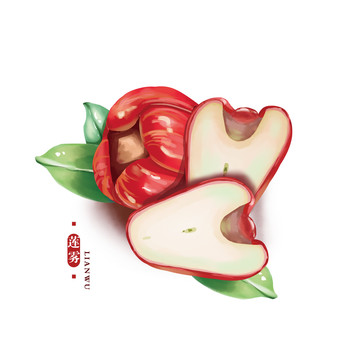 蓮霧