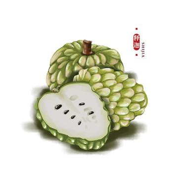 釋迦