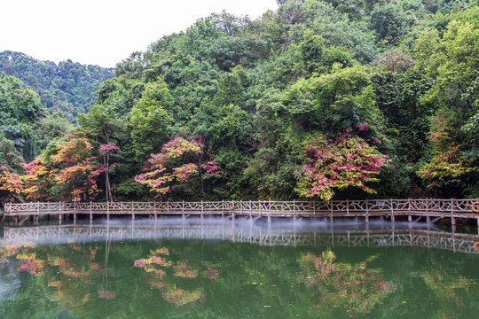 双龙沟原始森林景区水边栈道