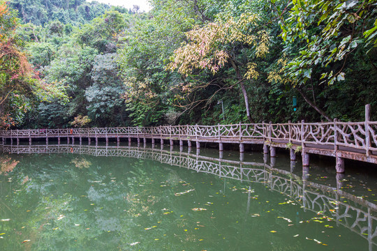 双龙沟原始森林景区水边栈道