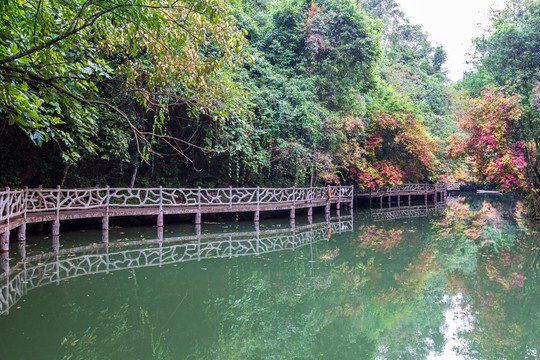 双龙沟原始森林景区水边栈道