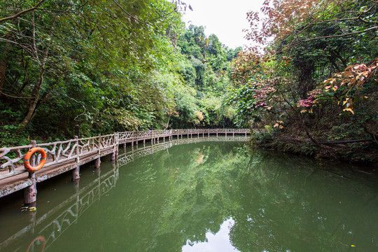 双龙沟原始森林景区水边栈道