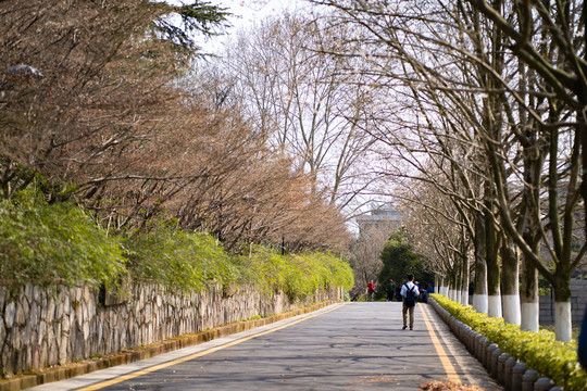 公园泊油路