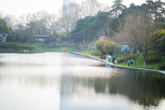 湖水春游