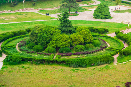 城市风景绿色植物花园