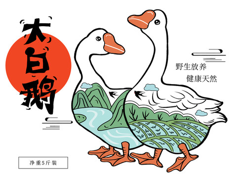 大白鵝鵝肉鵝掌食品包裝