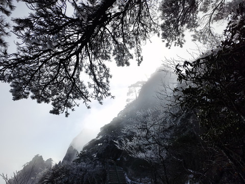 黄山玉屏楼