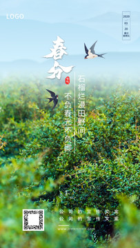二十四節(jié)氣春分宣傳海報(bào)