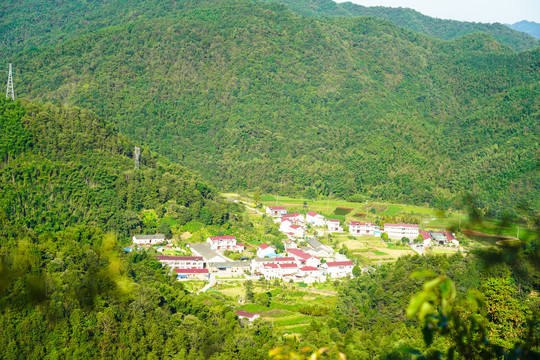 青山绿水