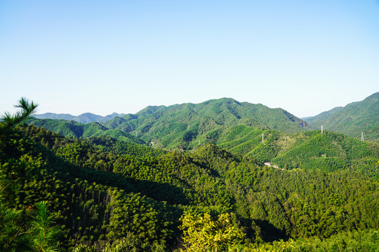 青山绿水