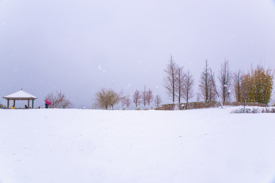 下雪