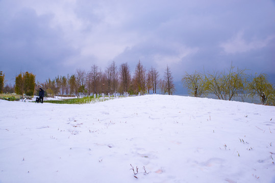 昆明星海湿地雪景