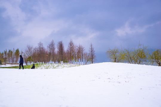 雪地