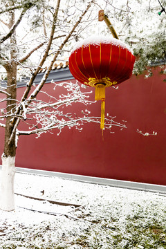 北京城市红墙雪景