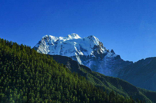 贡嘎山