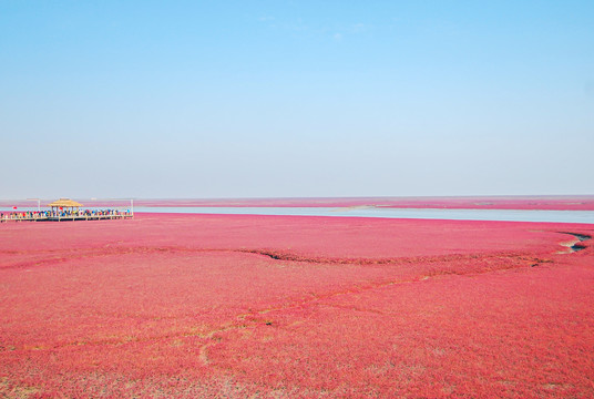 盘锦红海滩