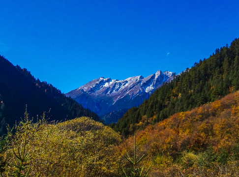 九寨沟原始森林雪山