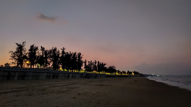 夕阳海滨树木