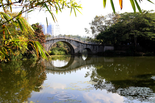 深圳东湖公园湖水美景