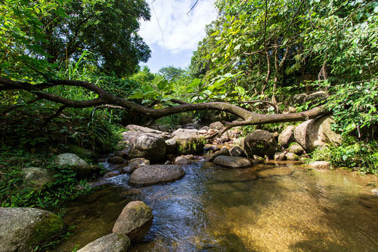 双龙沟原始森林景区风光