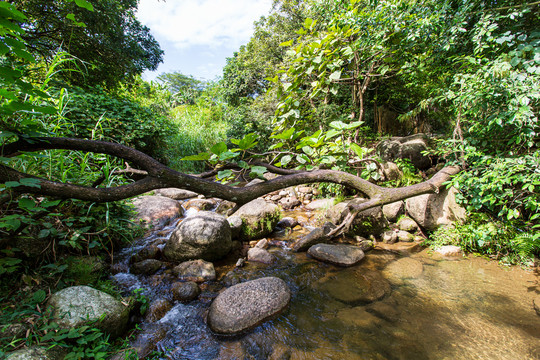 双龙沟原始森林景区风光