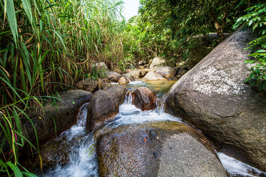 双龙沟原始森林景区风光