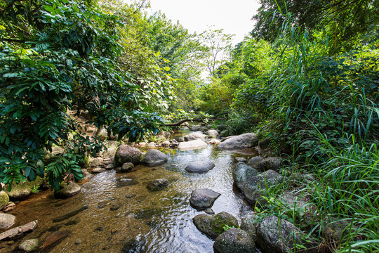 双龙沟原始森林景区风光