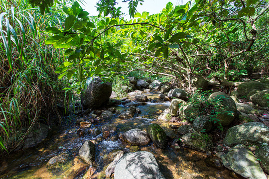 双龙沟原始森林景区风光