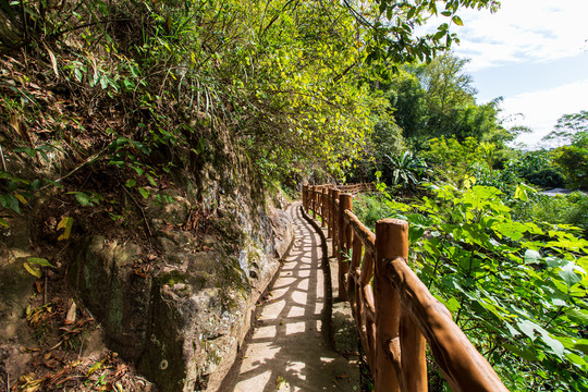 双龙沟原始森林景区游览步道