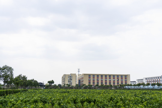 路桥横街镇田野边的新厂房