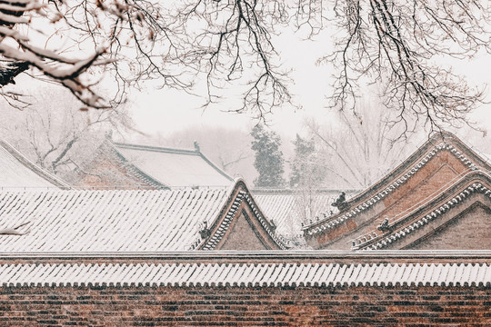 北京雪景