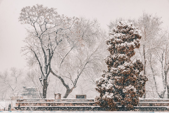 北京雪景