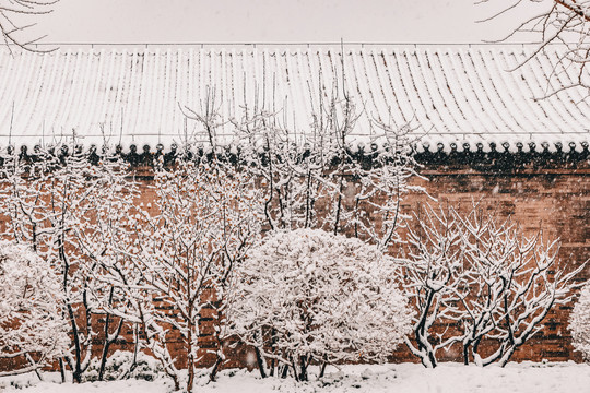 北京雪景