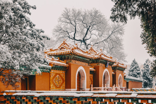 北京雪景