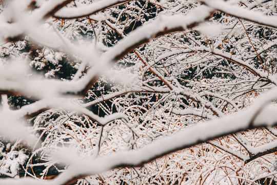 北京雪景