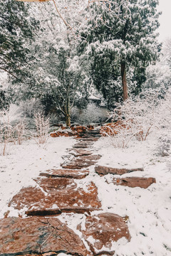 北京雪景