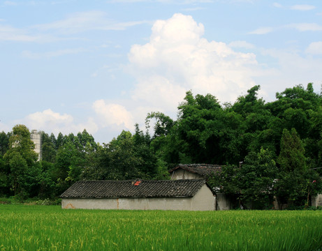 农家田园