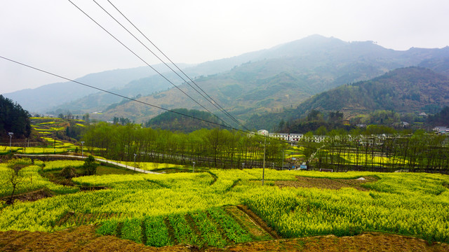 汇湾风光三