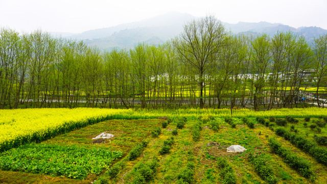 汇湾风光三