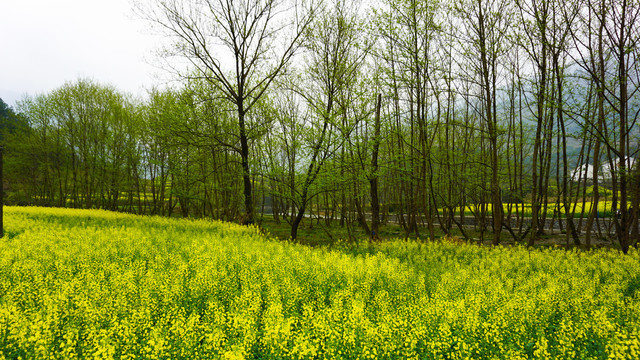 汇湾风光山水