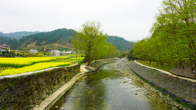 汇湾风光三