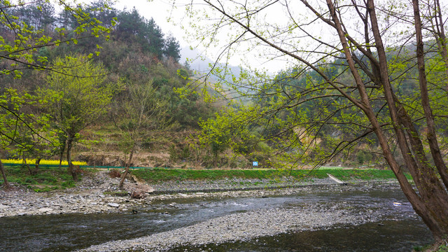 汇湾河堤