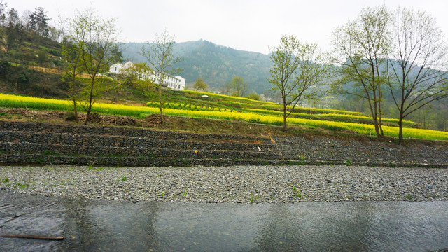 汇湾风光河岸