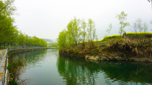 汇湾河堤