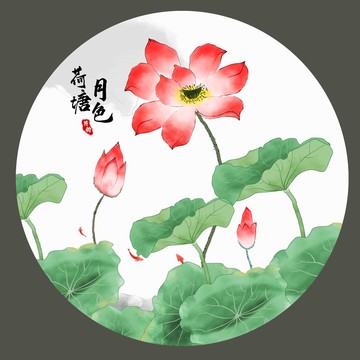 荷花插画