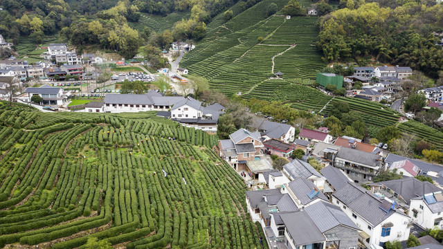 龙井村航拍